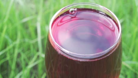 glass-of-wine-on-a-grass-background,-close-up-.