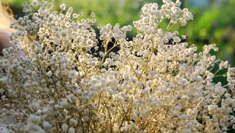 Braut-hält-einen-Blumenstrauß