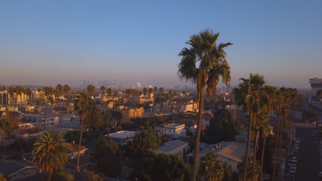 Beautiful-Los-Angeles-district-with-long-palms-by-the-side-of-the-road.