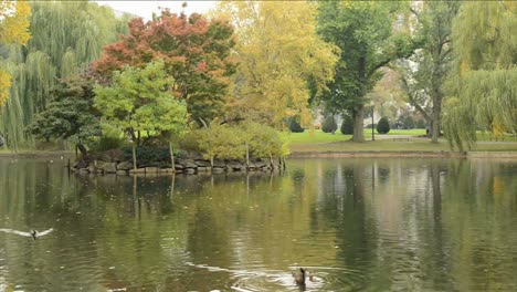 Jardín-público-de-Boston