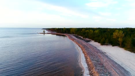 Aerial-footage.-Fly-over-forest-coast-at-sunset