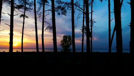 Luftaufnahmen.-Küste-bei-Sonnenuntergang-hinter-Bäumen-fliegen