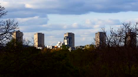 London-Baumkrone-Ansicht