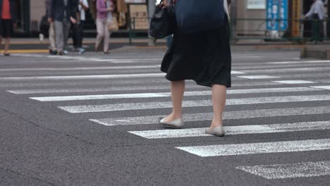 People-walking-on-the-crosswalk-(Slow-Motion-Video)-Ginza-&-Yurakucho-in-Summer