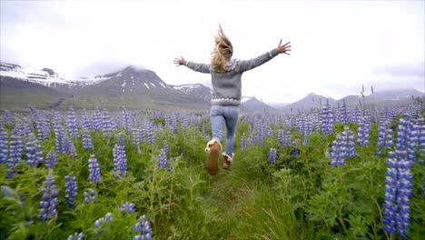 Young-woman-running-in-flower-lupine-field-in-Iceland-living-a-happy-life-and-enjoying-vacations-in-northern-country--Slow-motion-video-people-travel-fun-concept