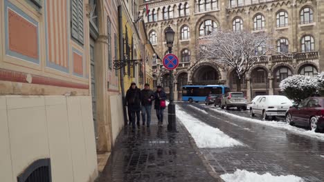 Turistas-en-las-calles-de-Budapest