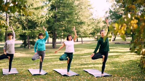 Slim-young-women-are-doing-variations-of-Tree-pose-during-yoga-class-outdoors-in-park-relaxing-and-enjoying-nature-and-activity.-Sports-and-health-concept.