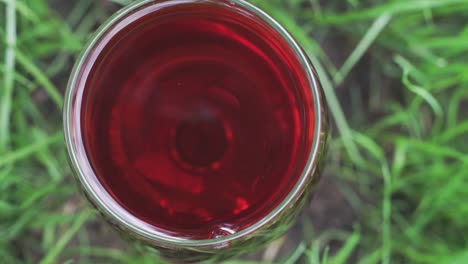 glass-of-wine-on-a-grass-background,-close-up-.