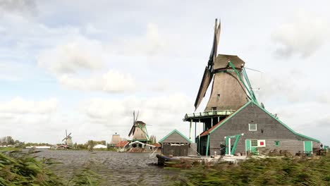 vom-Wind-verwehten-Schilf-und-Windmühlen-in-Zaanse-Schans-in-der-Nähe-von-amsterdam