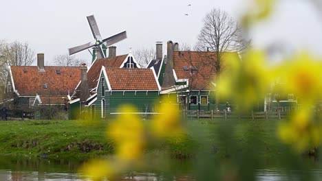 Mühle-in-Zaanse-Schans.