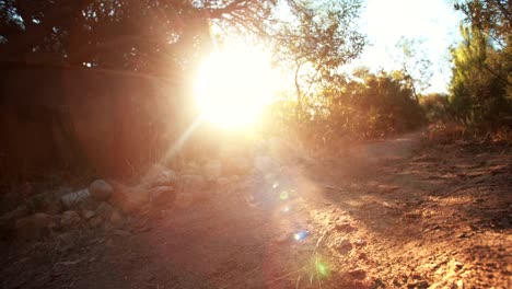 Adventurous-mountain-biker-on-dirt-path-of-an-off-road-trail