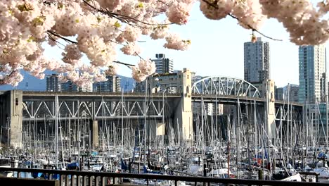 Burrard-Street-Bridge,-Vancouver-Spring