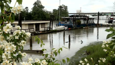 Río-Fraser-flotador-hogares