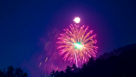 4K-TimeLapse.-New-Year's-fireworks-over-the-palm-trees-in-the-tropics-in-Phuket,-Thailand.-January,-2016.