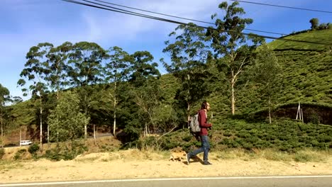 Va-chico-en-una-chaqueta-y-una-mochila-en-una-ruta-de-montaña