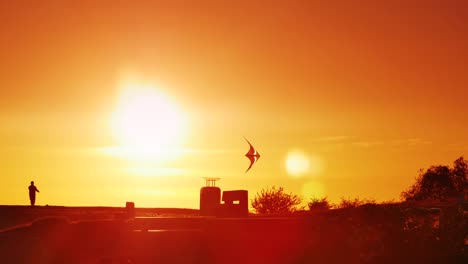 Mann-und-junge-fliegen-Drachen-zusammen-zur-goldenen-Stunde-im-Park,-Sonnenuntergang-Silhouette