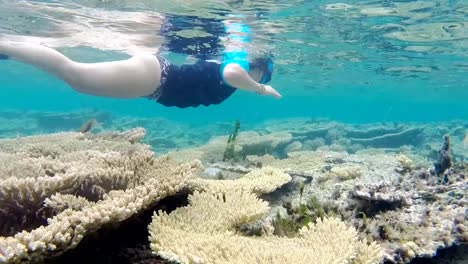 A-woman-snorkeling-on-the-coral-reef-of-Mauritius