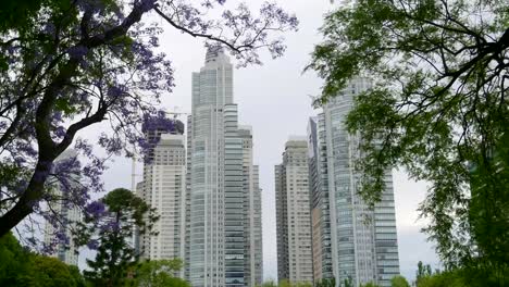 Rascacielos-en-el-barrio-de-Puerto-Madero,-Buenos-Aires,