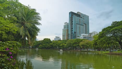 Edificios-corporativos-con-oficinas-con-vistas-a-un-parque-con-un-lago.-Centro-de-negocios-de-una-gran-ciudad,-el-distrito