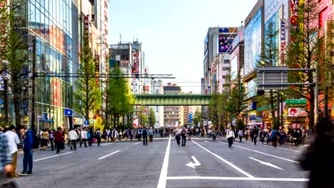 TOKYO,JAPAN-Pedestrians-walking-and-shopping-at-akihabara-district.