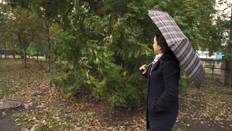 Girl-in-coat-with-umbrella-on-green-tree