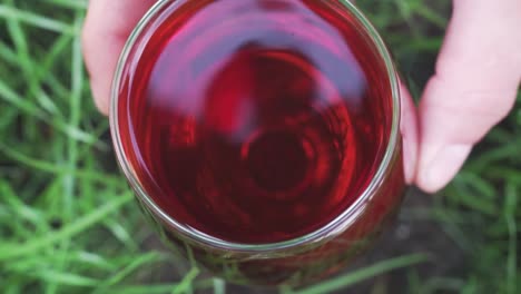 glass-of-wine-on-a-grass-background,-close-up-.