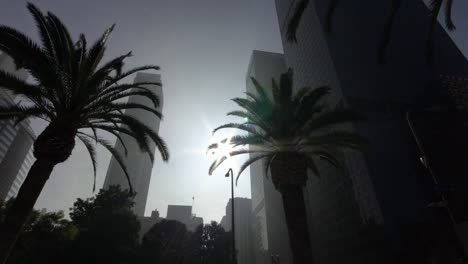 Driving-under-palm-trees-in-downtown-Los-Angeles,-iconic-California-travel-shot
