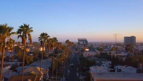 Beautiful-Los-Angeles-district-with-long-palms-by-the-side-of-the-road.