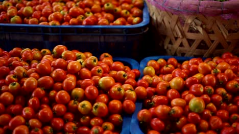 Haufen-Bio-Tomaten-zum-Verkauf-auf-traditionellem-Gemüsemarkt