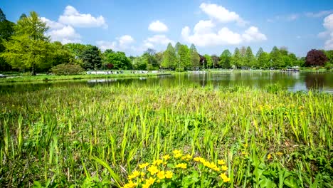 hamburg-city-park-DSLR-dolly-shot-timelapse