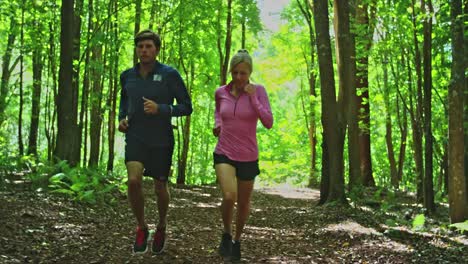 Jogging-in-the-Forest