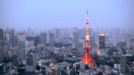 Torre-de-Tokio-es-comunicaciones-y-observación-de-la-torre-situada-en-el-distrito-de-Shiba-koen