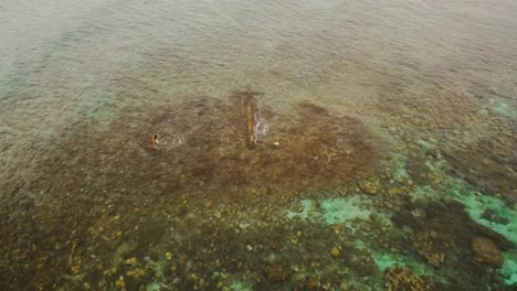 Catholic-cross-in-the-sea