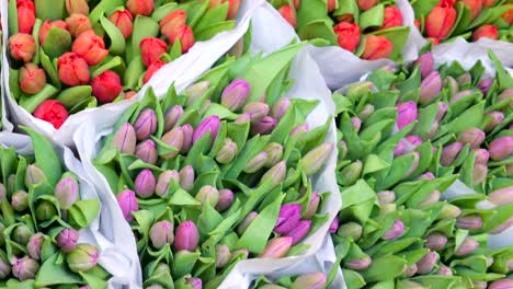 Tulpen,-verpackt-in-50er-Jahren-für-den-Verkauf-in-den-Blumenmarkt