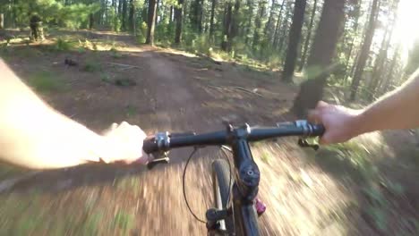 Paseos-del-ciclista-de-montaña-por-un-sendero-de-bosque-rápido