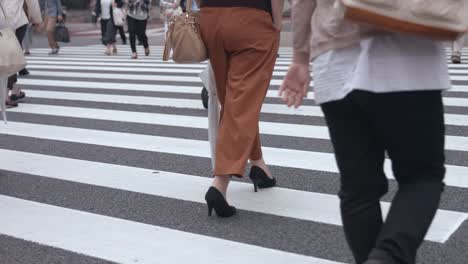 People-walking-on-the-crosswalk-(Slow-Motion-Video)-Ginza-&-Yurakucho-in-Summer