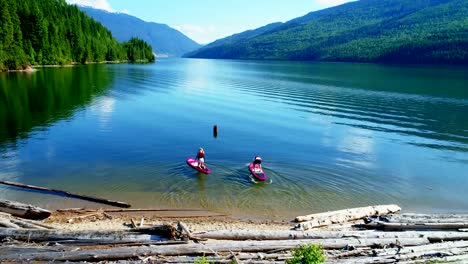 Antenne-des-Paares-auf-Stand-up-Paddle-Board-Rudern-im-Fluss-4k