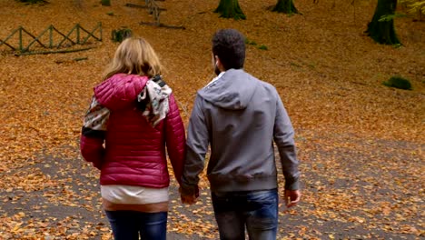 joven-pareja-paseos-cogidos-de-la-mano-en-el-Parque-otoño---nuevo-vista