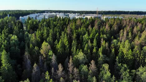 Aerial-view-on-pinewood-and-suburban-area-with-houses