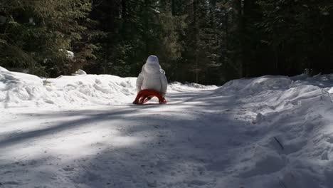 Little-Girl-Sledding-in-Winter-Forest