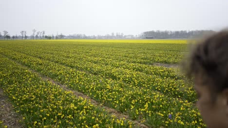 Girl-is-walking-through-a-field-of-flowers