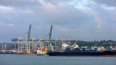 Container-Wharf,-Auckland,-New-Zealand