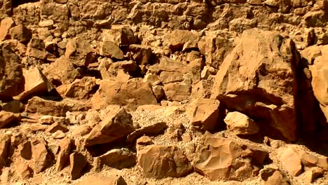 Festung-Masada