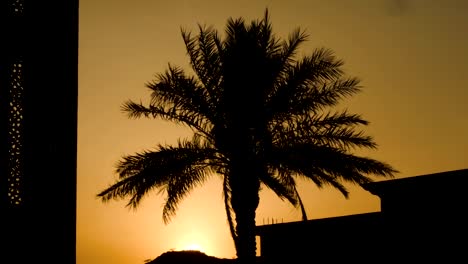 Mosque-at-Al-Taif-Al-Hada