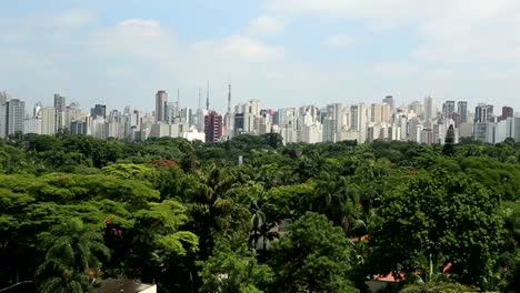 Verde-vista-de-ciudad-metropolitana-de-la-ciudad-de-San-Pablo