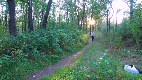 Slim-teenager-boy-is-running-on-paths-and-trails-in-the-forest.-Boy-is-trained-good-running.-Sports-in-nature.