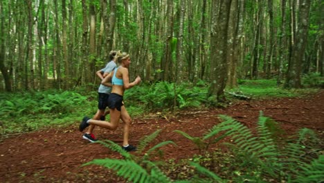 Jogging-in-the-Forest