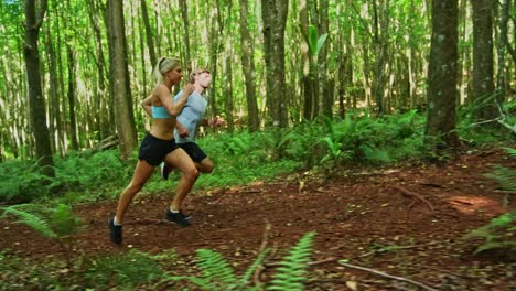 Jogging-in-the-Forest