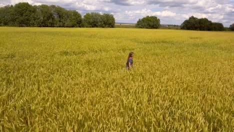 Chica-joven-en-el-campo-de-trigo.-Vídeo-aéreo