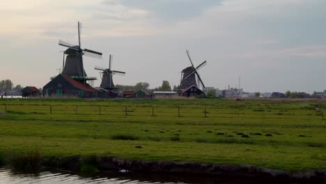 The-greeny-grass-fields-of-the-village-of-Zaanse-Schans